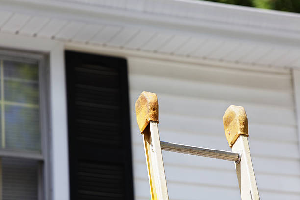 Best Custom Trim and Detailing for Siding  in Longview, TX